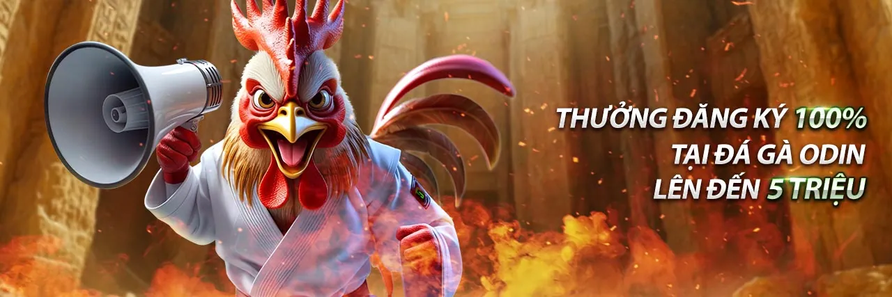 Ưu đãi hấp dẫn và khuyến mãi độc quyền tại AEBET